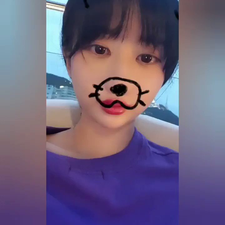 트위터, twitter - 딸플릭스