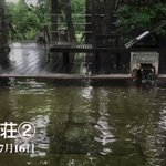 ツイートに含まれる画像