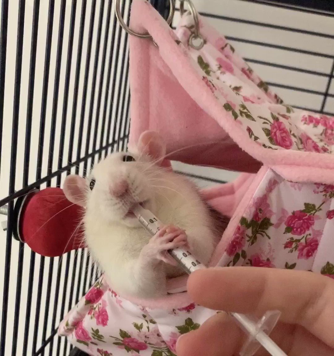 💗IamSanna💗 on X: I want to buy these to give to you! I am