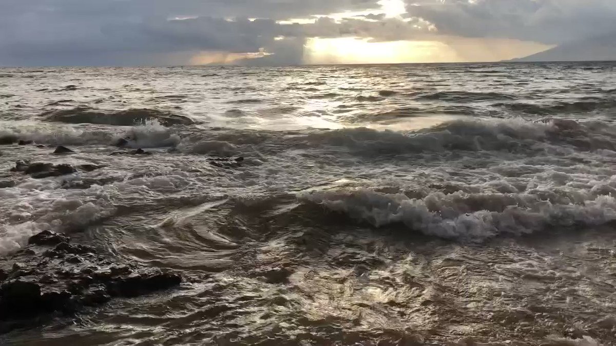 Aloha Friday! 🌊