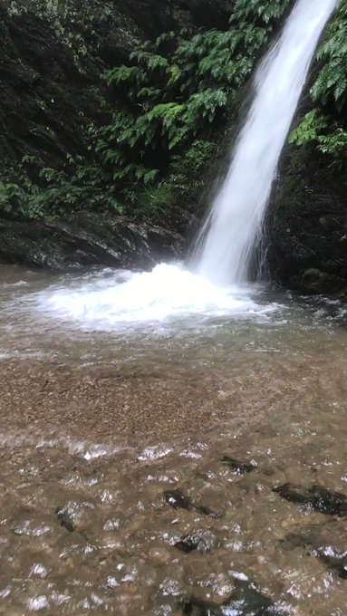 2020/7/26 雨上がりの毛呂山・越生の滝巡り～「こぶたのしっぽ