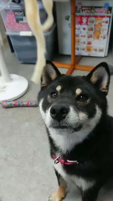 うどん の評価や評判 感想など みんなの反応を1時間ごとにまとめて紹介 ついラン
