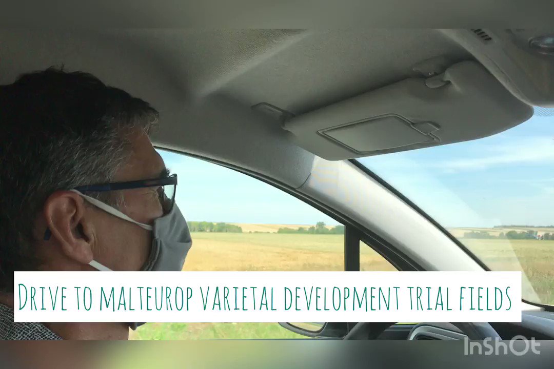 Follow us in the trial fields with Jean-Michel Oustrain, Global Varietal Development Manager 🌾🚜
Musique: Last Summer
Musicien: @Iksonmusic https://t.co/Or4d6jaILh