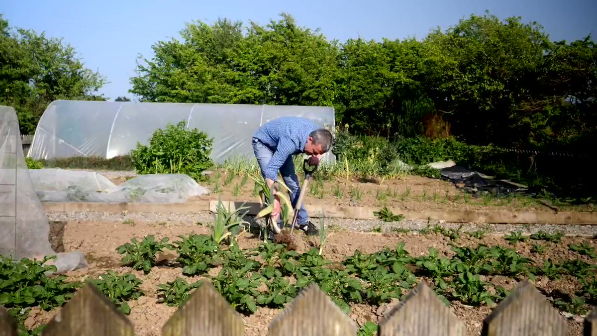 We’re delighted to announce our €1.27m multi-year #GrowthFund investment in @giyireland with support from @DeptRCD via the Dormant Accounts Fund. This will support GIY to reach 1,000,000 new food growers by 2021 at home, work, school and in communities. https://t.co/Lb2QmbN6TF