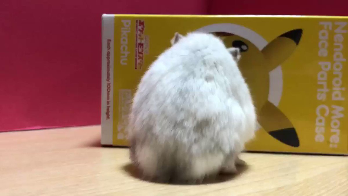 ついふぁん トロさんの人気ツイート ついふぁん トロさんの人気ツイート