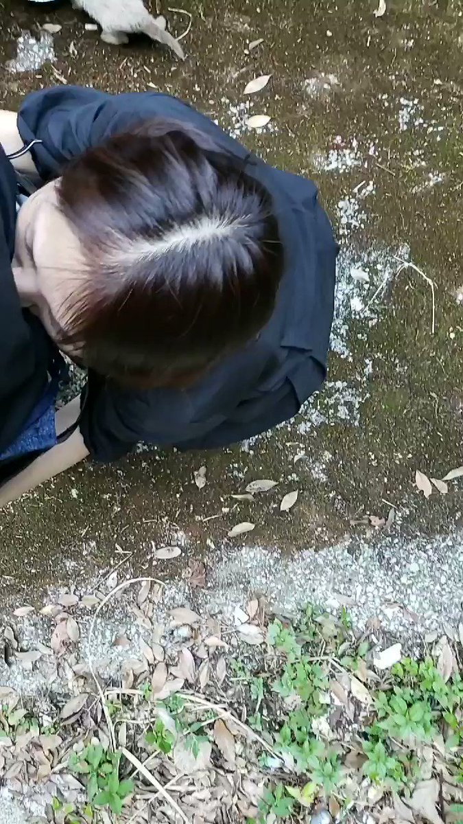 盗撮　野外プレイ 