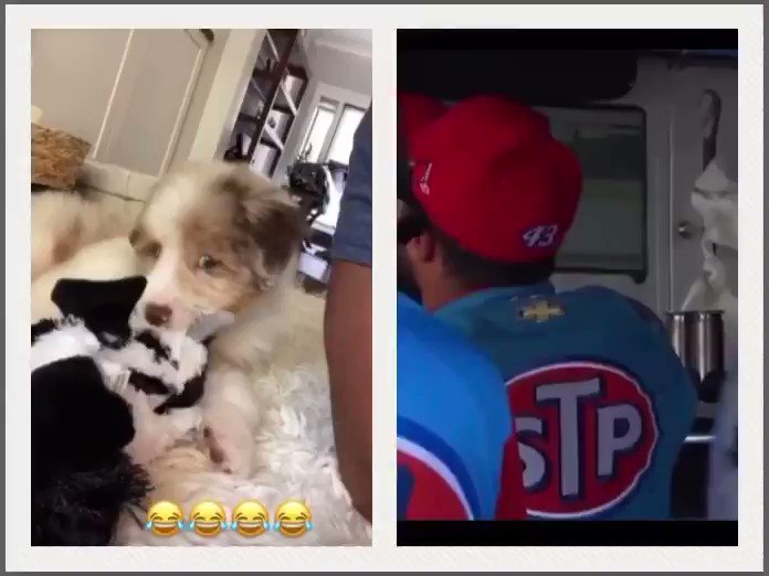 So I noticed something about @BubbaWallace and Amandaβs new puppy...π³ππ€πΌπ€ (Staring puppy video credit to Bubba and staring Bubba video credit to @FOXSports.) #BubbaWallace #NASCAR https://t.co/EfQ8f7m8rP