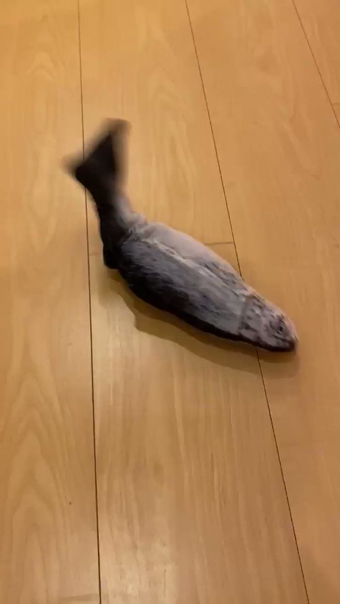 話題の猫のおもちゃを買ってみた結果⇒動きがリアルすぎて全然遊んでくれないｗｗ