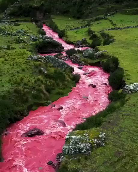 RT @fasc1nate: The Red River in Peru.
https://t.co/jMhXj3JUKC