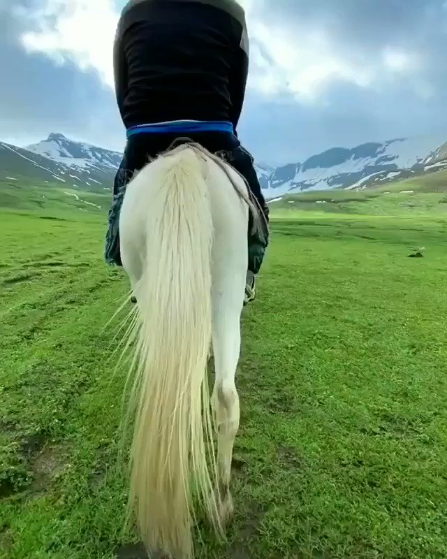 Walking in heaven be like.
The last few months of pandemic made me lazy and I felt like a bird in a cage, I really wanted to go somewhere in the lap of mountains so far and wide. So I planned to visit Dudipatsar National Park.
Credit: @travelwithnaveed
#DestinationPakistan https://t.co/T0J11Z4uFX