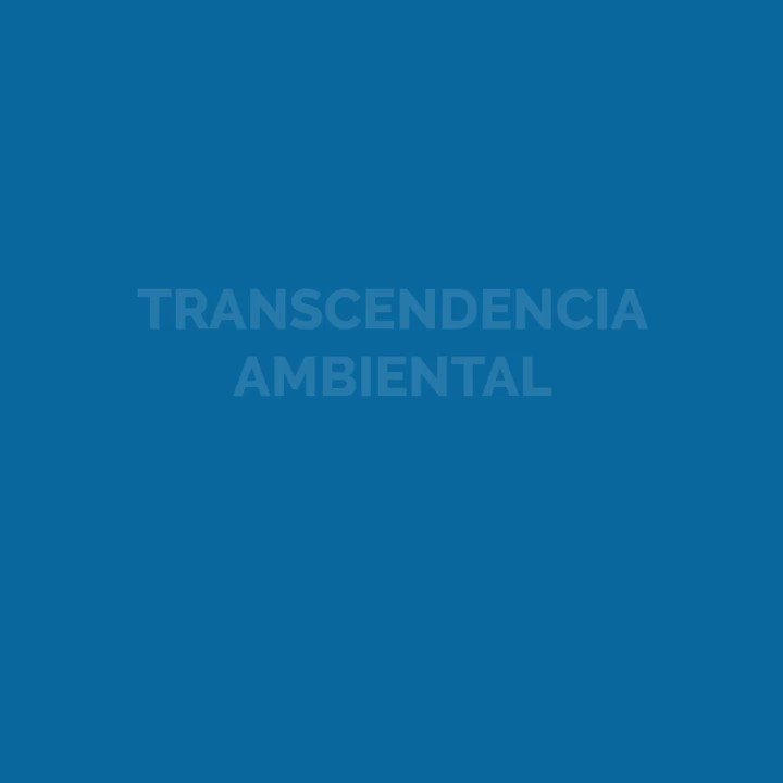 Renace, comprometido con el cuidado del medio ambiente, implementa programas medioambientales, que buscan la recuperación y conservación de la flora y fauna de San Pedro Carchá. #CompromisoAmbiental https://t.co/7LRv0zc6sV