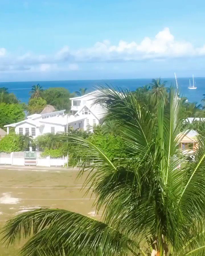 Good morning! #Belize reopens it’s borders on August 15th. Are you ready to social distance with us?
.
.
.
🌴😷🧜♀️🇧🇿🌴😷🧜♀️🇧🇿🌴😷🧜♀️🇧🇿
.
.
.
#travelbelize #islandlife #tourbelize #livelifetoitsfullest #staysafe #covidtravel #smarttravelbelize #livewhereyouvacation #mondaymotivation https://t.co/f5nyJcoj7f