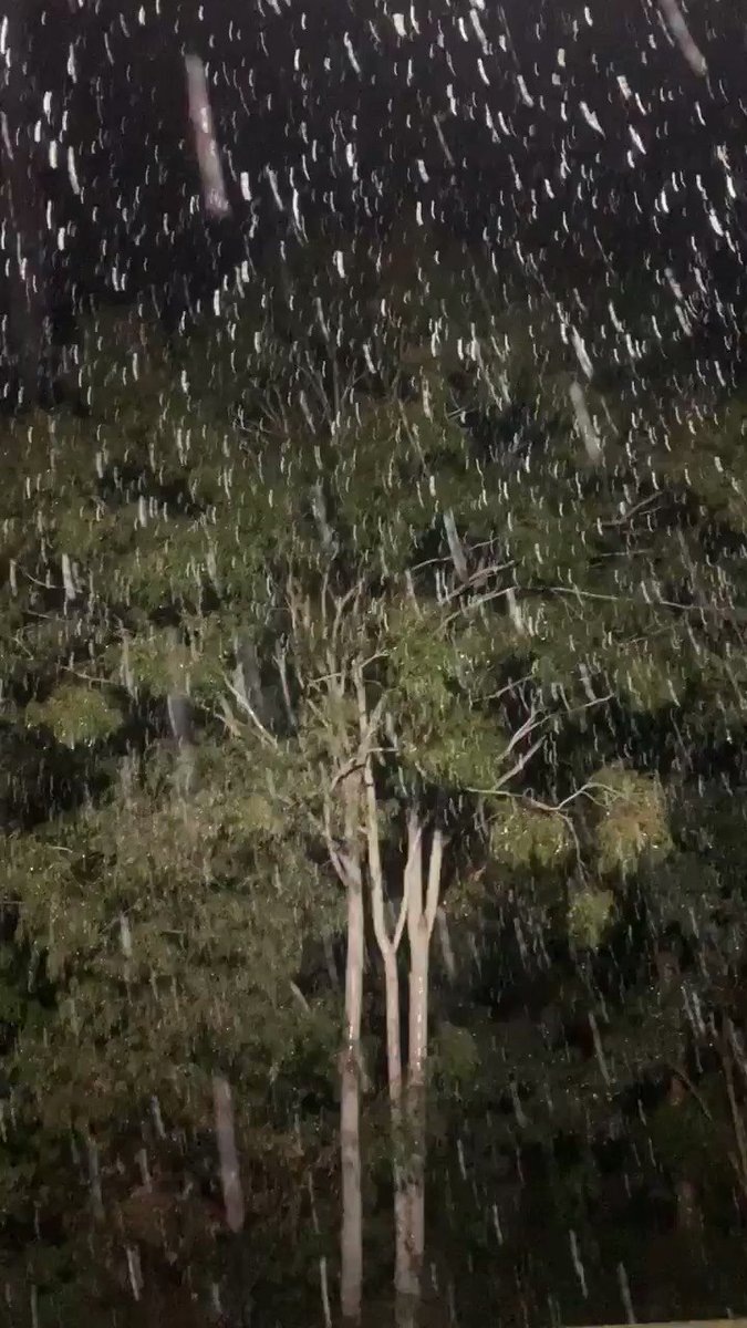 It was amazing to see something so beautiful in a world where it’s hard to see much beauty at the moment. It was worth standing out in for half an hour. So was the hot bath afterwards. #healesville #auspol #snow https://t.co/U7fRa2C2r3