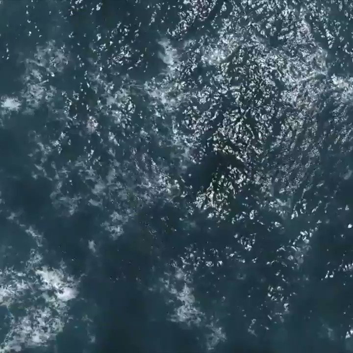 The #BlockIsland #Film Festival is going virtual this year from Sept. 1-5. Check out the great slate of #Films #ShortFilms #StudentFilms #Movies #Documentaries #Hollywood in #RhodeIsland https://t.co/2KPbTzxtUp