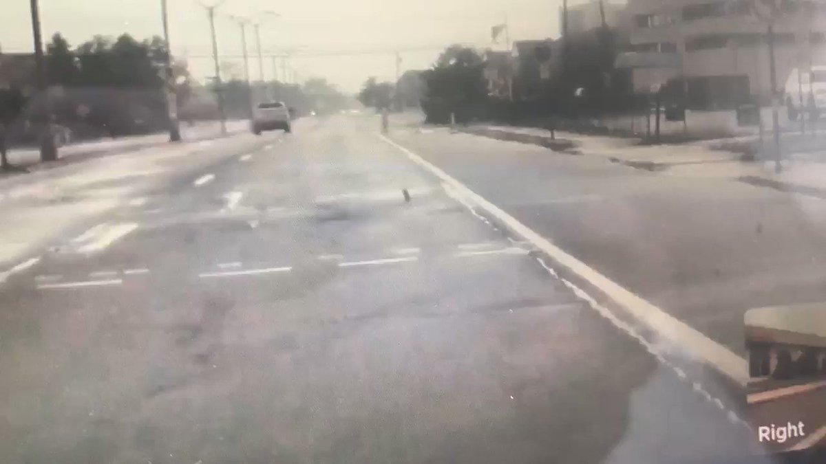 Pizza box blown like tumbleweed after #Isaias in Long Branch. Oh, and if you’re one of many without #ICE @JCP_L tells me if they have any, it won’t be till Wednesday. 😢 @NJFIRECHAT @StormTeam4NY @NBCNewYork https://t.co/TCD9MbwDaY