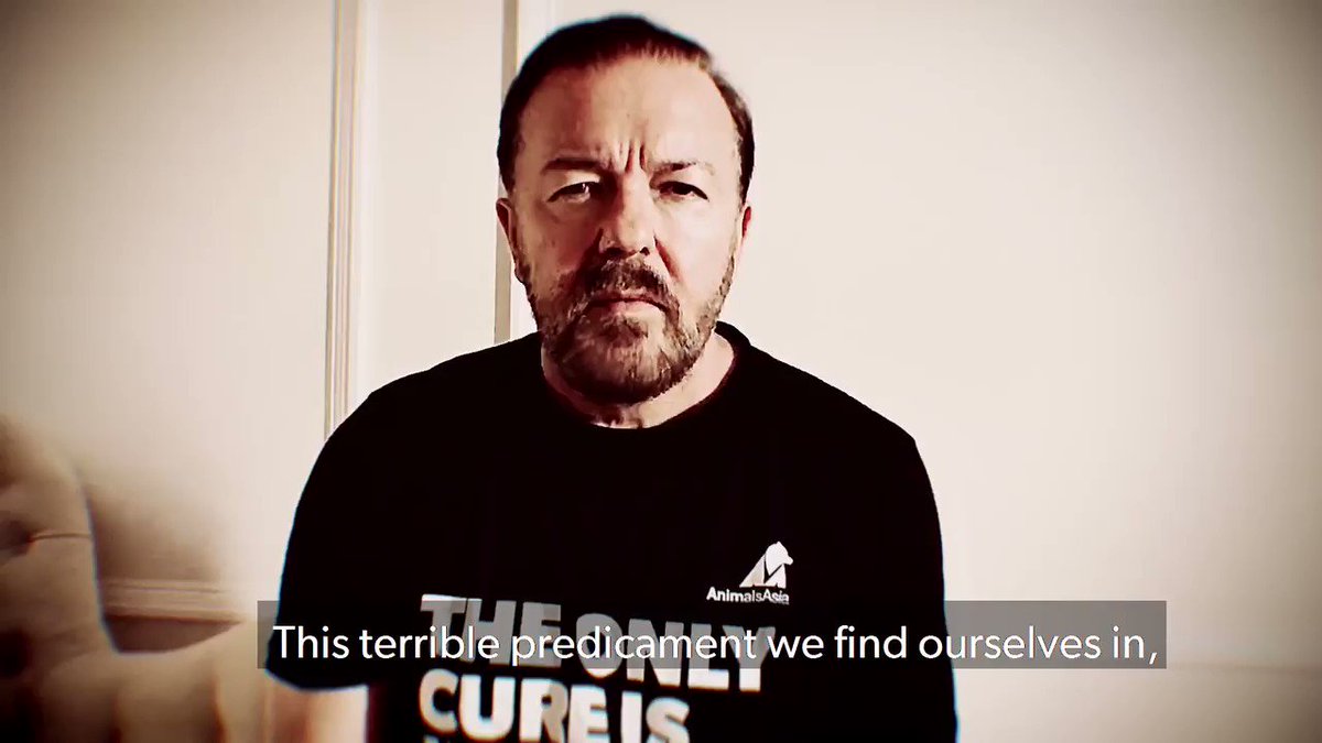 This crisis has been a wake-up call for change, and our work in Vietnam shows change is entirely possible. We can put an end to the abject disregard for animals that has caused so much suffering, and create a better world. Because #TheOnlyCureIsKindness
https://t.co/7Ly5bqg6oR https://t.co/9FIUmuyhdr
