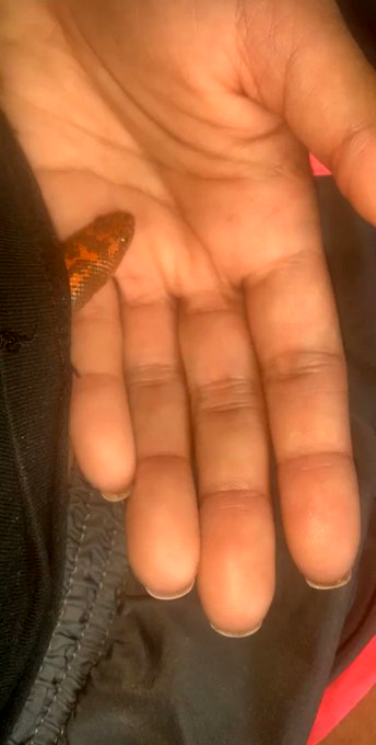 I love her ❤️✨ https://t.co/wdal2L0NBi<a href="/tag/yoga"class="tags"><span>#yoga</span></a><a href="/tag/warrior2"class="tags"><span>#warrior2</span></a>