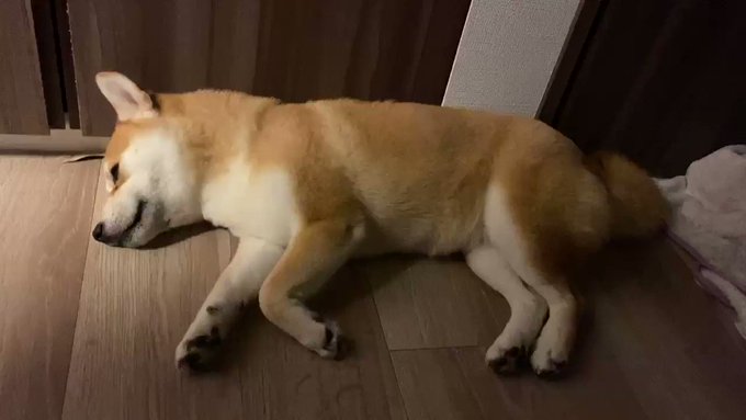ねぎとろ 再入院 退院さん の最近のツイート 12 Whotwi グラフィカルtwitter分析