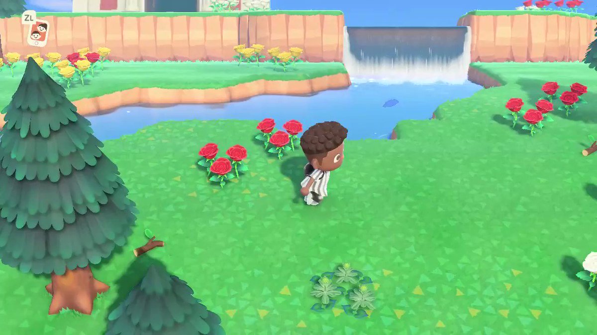 Did the Summer update change how weeds work???
#AnimalCrossing #ACNH #NintendoSwitch https://t.co/dRyquV7GLI