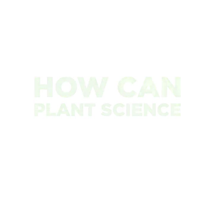 On World Food Safety Day, @WHO put out five calls to action on food safety to ensure that governments, food producers, and the entire supply chain are prioritizing food safety. Check out our GIFs to find out how plant science accomplishes this. https://t.co/KbWgTLhs4t https://t.co/bIlUoD7MyG
