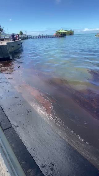 🔴🇲🇺 Marée Noir à l’île Maurice : Suivi de la situation inquiétante. #Mauritius #Maurice #MaréeNoire #CatastropheNaturelle
https://t.co/oBC9FTyHQY