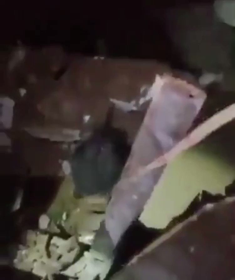 ¡Milagro! Tras pasar 24 horas entre los escombros, una niña es rescatada en #Libano 👏🏼
#PrayersForBeirut
👉🏽 https://t.co/RMqFcMST0Z https://t.co/9v29fyw2jq