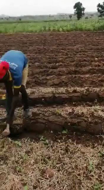 Small holder farmers produce over 80% of the food in Nigeria. Without access to mechanization and technology it's a tough job! https://t.co/vX4im8Eg3t
