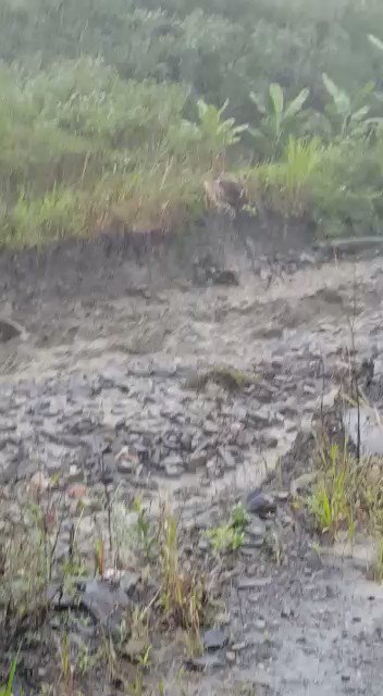 #8Ago | Habitantes de Canaguá, estado #Mérida, Venezuela, se mantienen en alerta tras las fuertes lluvias registradas en las últimas 24 horas.
Video: Cortesía (Rosana Chacón). https://t.co/T6DTUADxkT