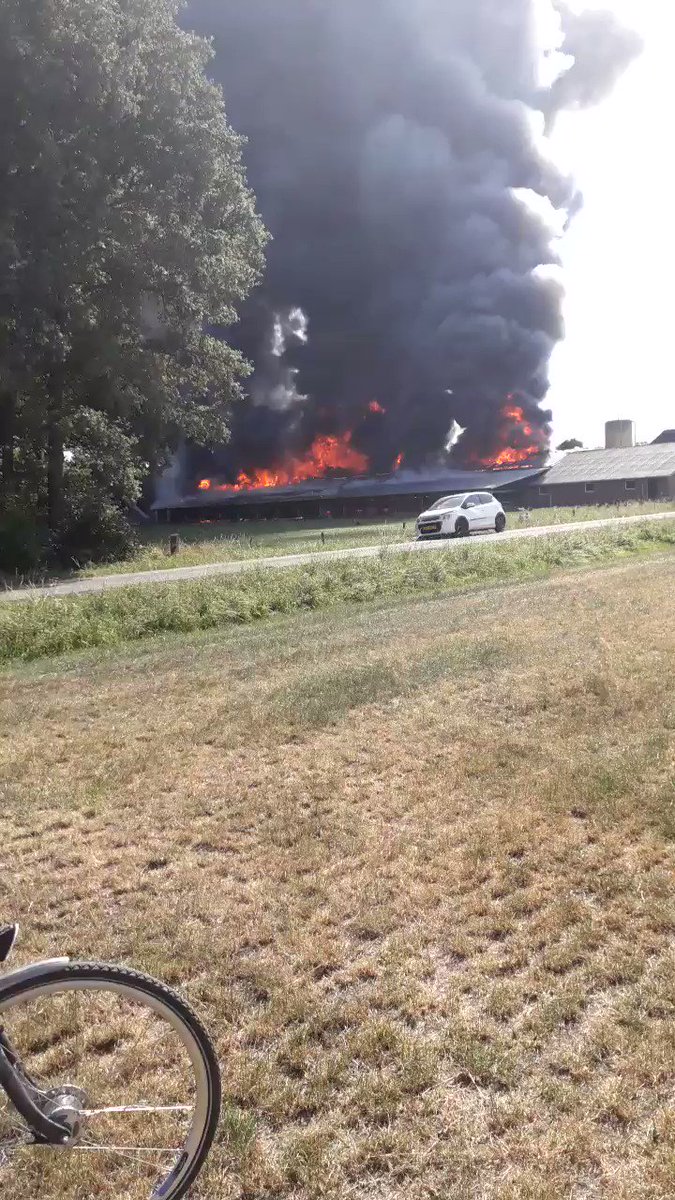 Grote brand in schuur met 14.000 kippen in Beltrum..
