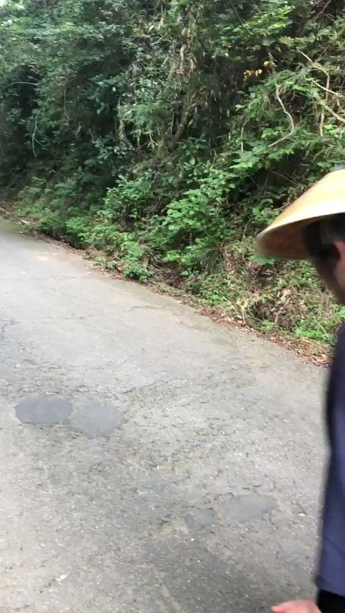 疲労を減らすための昔の人の知恵 下り坂 上り坂運歩 を検証 登山やトレイル好きの人からも高評価 後半疲れた下り坂でほんと違う Togetter