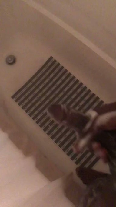 Slim’s pics and videos