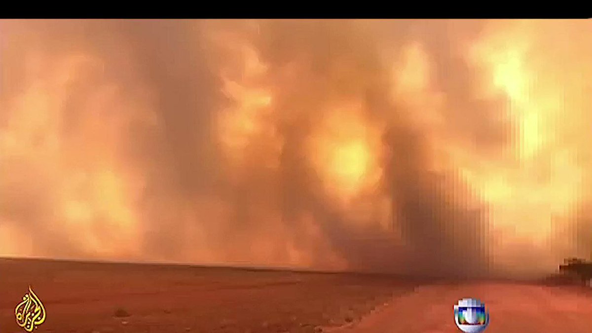 One year ago, farmers and ranchers in Brazil coordinated a âDay of Fireâ in the Amazon. Following that day, fire hotspots rose 1923%. Weâve since visited those burnt areas, and this is what we found.
#ActForAmazon https://t.co/17aO4hgjIm