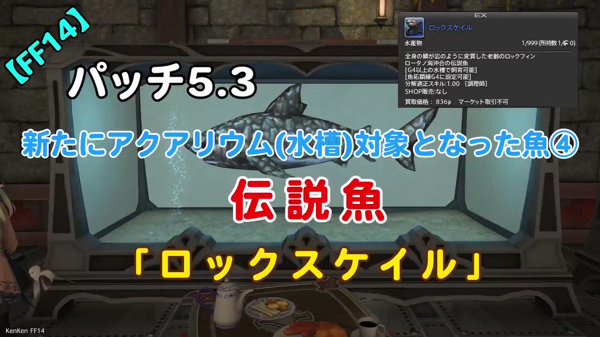 漁師の本気 アクアリウム 水槽 Twitter 漁師の本気 アクアリウム 水槽 Twitter