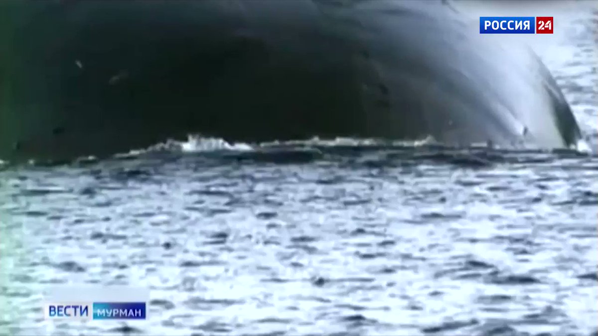 Курск субмарина в мутной воде. Курск подводная лодка в мутной воде. Баренцево море подводная лодка утонула.