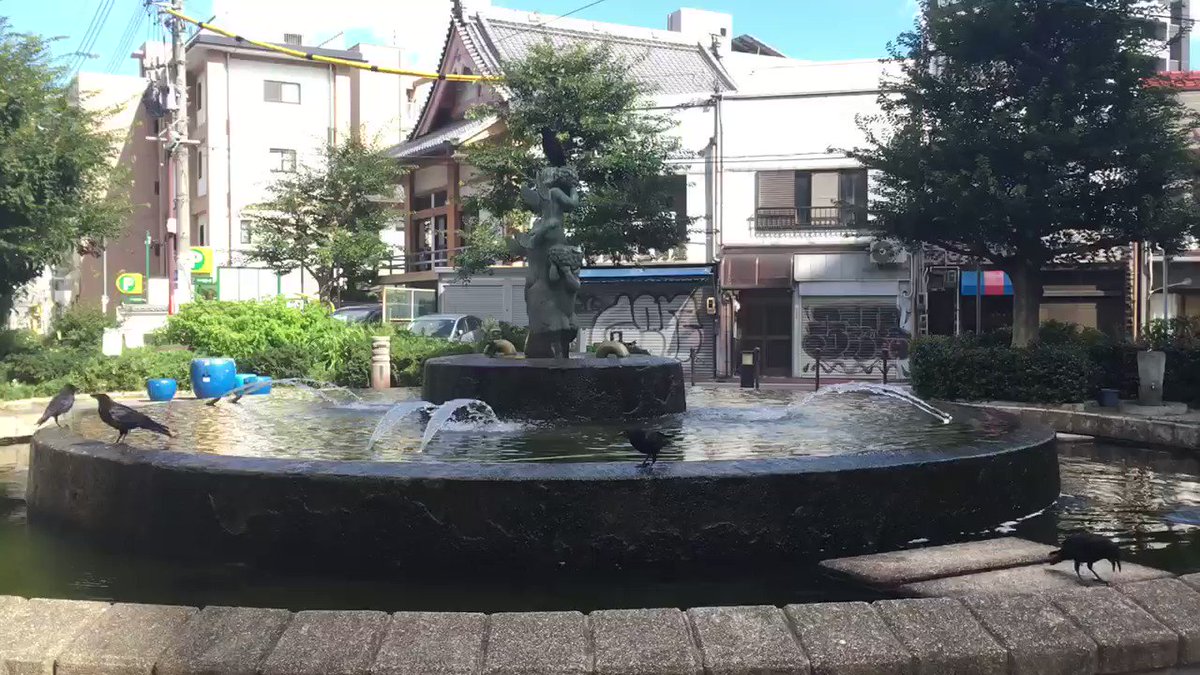 招き猫に金の玉 食べ歩きだけじゃない商店街 大須商店街 のオススメスポット 上前津 大須観音 おいでよ名古屋の食べ歩きログ 招き猫に金の玉 食べ歩きだけじゃない商店街 大須商店街 のオススメスポット 上前津 大須観音 おいでよ名古屋の食べ歩きログ