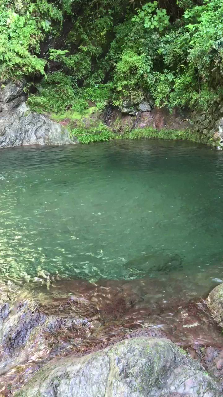 ダー岩井のツーリング写真館 夏休みもgoto秩父 皆野町の秩父華厳の滝へ 滝壺へ飛び込みたい 笑 10 8 13 8時 T Co Lni6fgtbyl Twitter