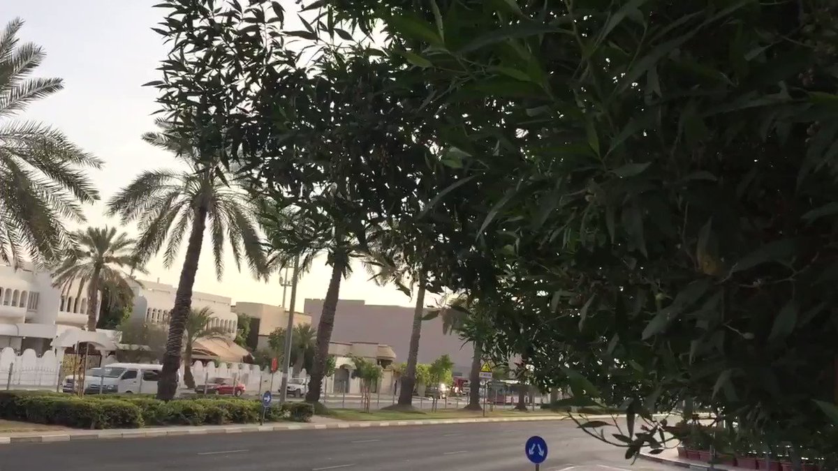 #GoodMorning #صباح_الخيرᅠ 🇦🇪💚@Twitter friends, Happy And Healthy Everyday #Dubai #الامارات #Trending #Travel @TravelTence #natural #beauty #green #StaySafe #COVID19 😷 👌 #SocialDistancing 👍🏿😊 https://t.co/pqvdbT8Dda