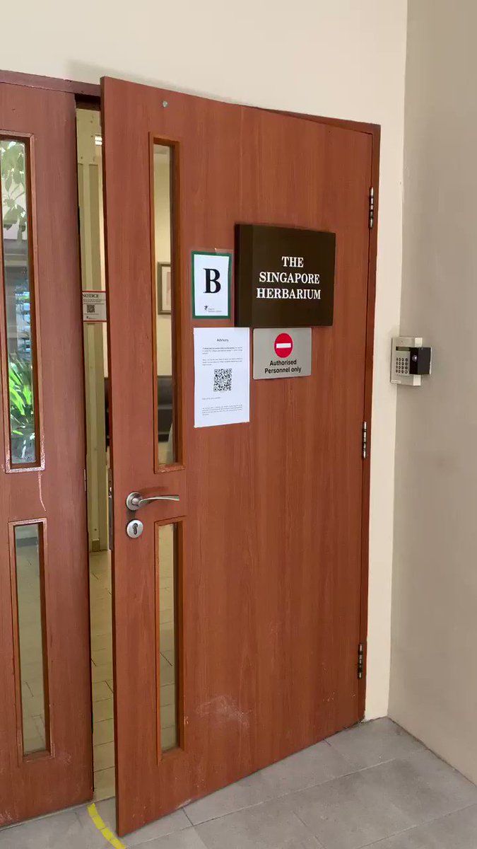 #COVID has brought upon us many unprecedented challenges, and we have many “new normals” in life... on a more positive note, COVID gave SING an automated door 😅, and also motion sensor faucets in all the washrooms at Botany Centre! https://t.co/LBXtuJSWgA