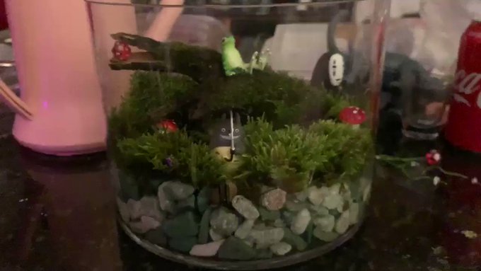 I kayaked to an island and grabbed some moss to make a terrarium. 🍃🌳🍄 https://t.co/HanlLRPTmh