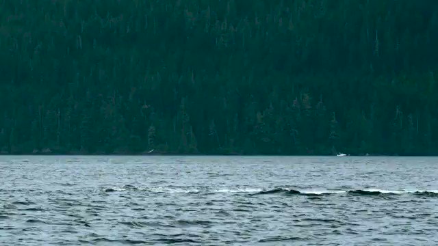 When you retweet this, five cents will be donated to mental health initiatives in Canada.
Β
Whale. Whale.
#BellLetsTalk
https://t.co/6YYROhFS4l