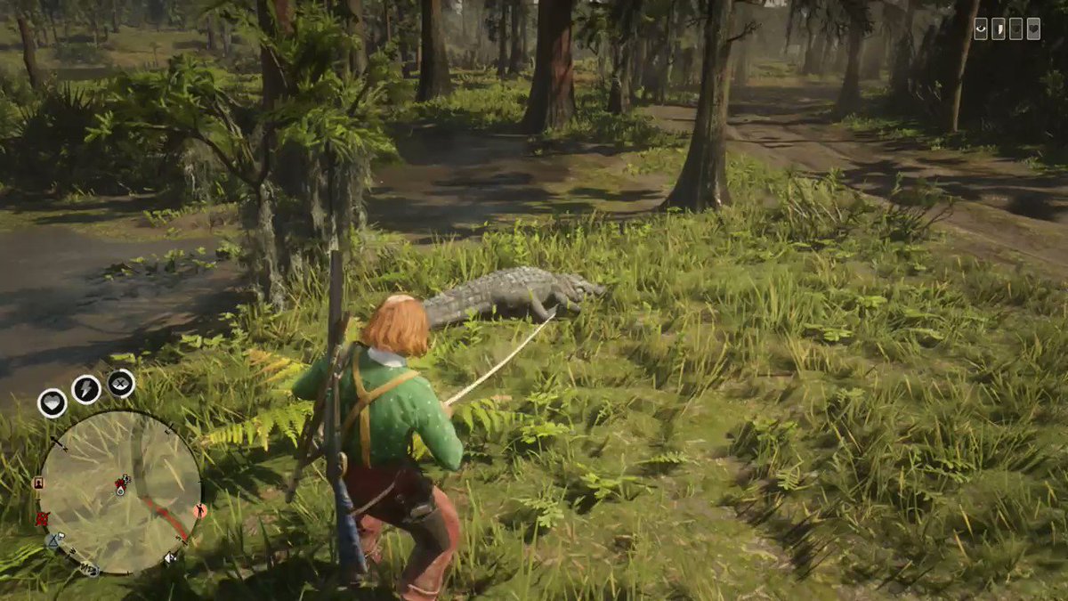 Red Dead Online Community Taking An Alligator To The Top Of Mount Hagen Onlypvpcat Always Surprises Us With What He Gets Up To Full Video Here T Co U7jltbcd T Co 9twqpmpsfx
