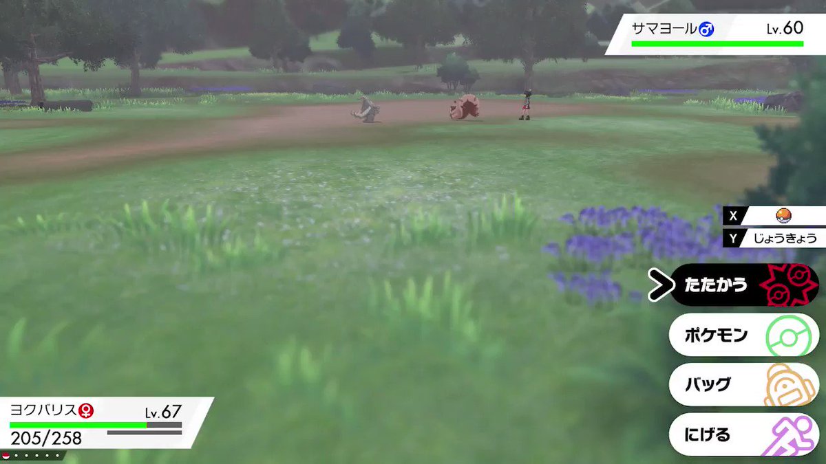 ポケモン情報局 公式 ヨクバリス は オボンのみ で体力回復 みなさんはお盆休みで体力回復できましたか