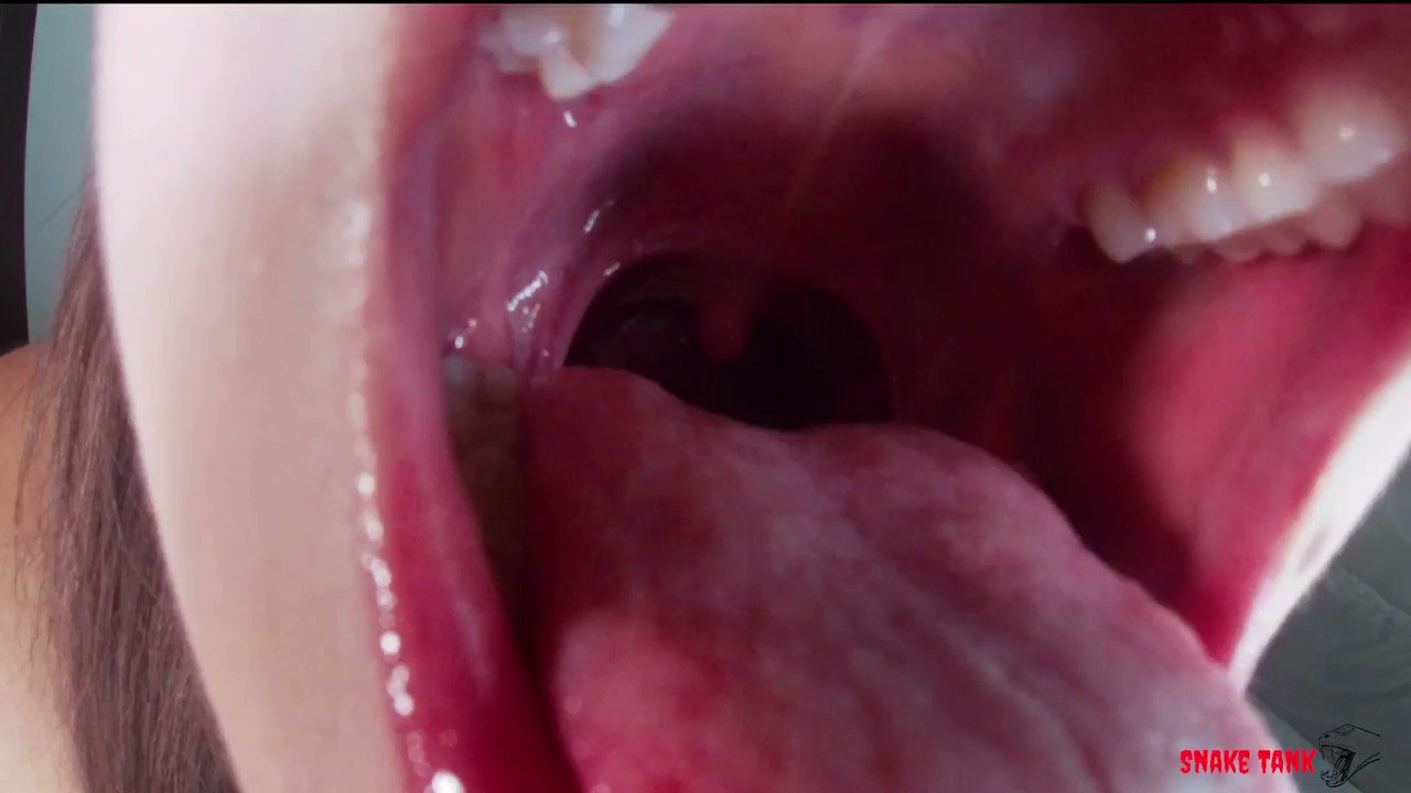 Snake Tank on X: ⚡️ New! ⚡️ The Venom Sisters Devour You @ScarlettVen0m  @thenikavenom Scarlett gets home from a long day, only to find out her food  is gone. Scarlett wants revenge;