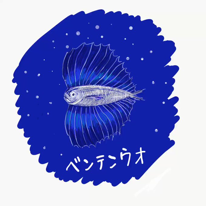 深海魚のtwitterイラスト検索結果 深海魚のtwitterイラスト検索結果