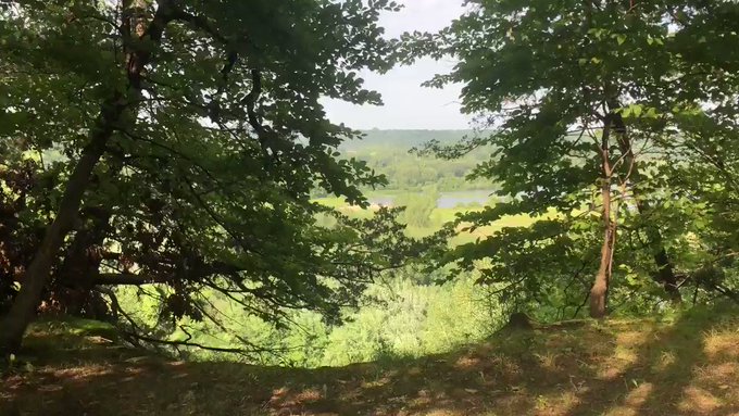 RT to see the rest ??

#nature #twunk #tuesdayvibes #park #kinky #risky https://t.co/COY99XuJw0