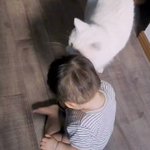 猫が子供を愛でる映像!まるで我が子のように接する猫ちゃんw