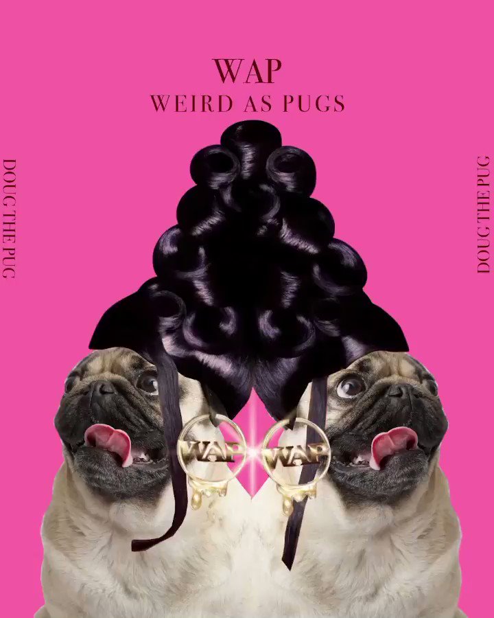 Is the last pug gif too weird? — WEIRD WORLD