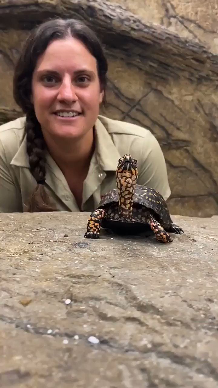 juliette brewer zoo - JovanteAllen