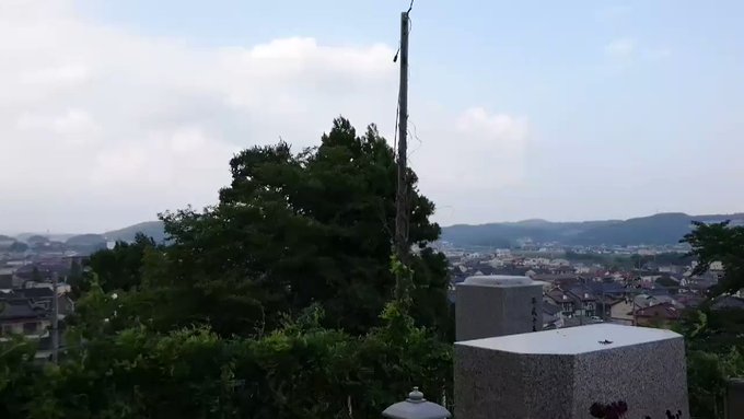 チェリかめ Cherryyukarin Twilog チェリかめ Cherryyukarin Twilog