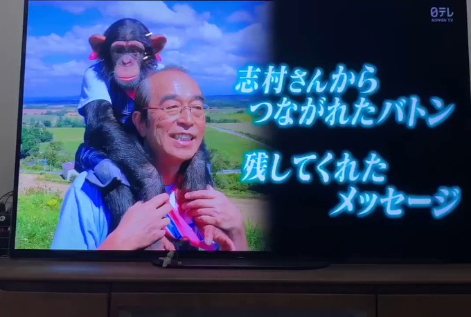 天才 志村どうぶつ園 の評価や評判 感想など みんなの反応を1時間ごとにまとめて紹介 ついラン